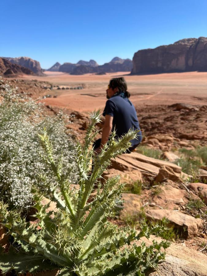 Hotel Bedouin Future Camp Wadi Rum Esterno foto
