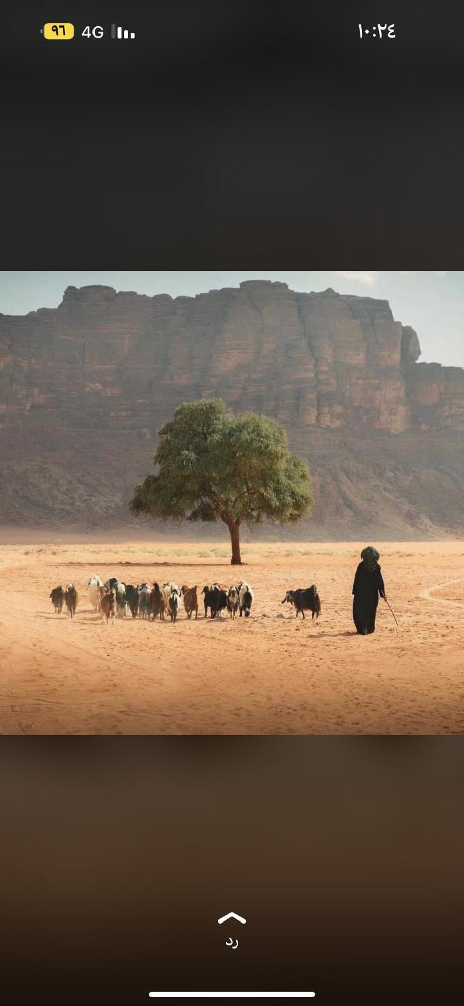 Hotel Bedouin Future Camp Wadi Rum Esterno foto