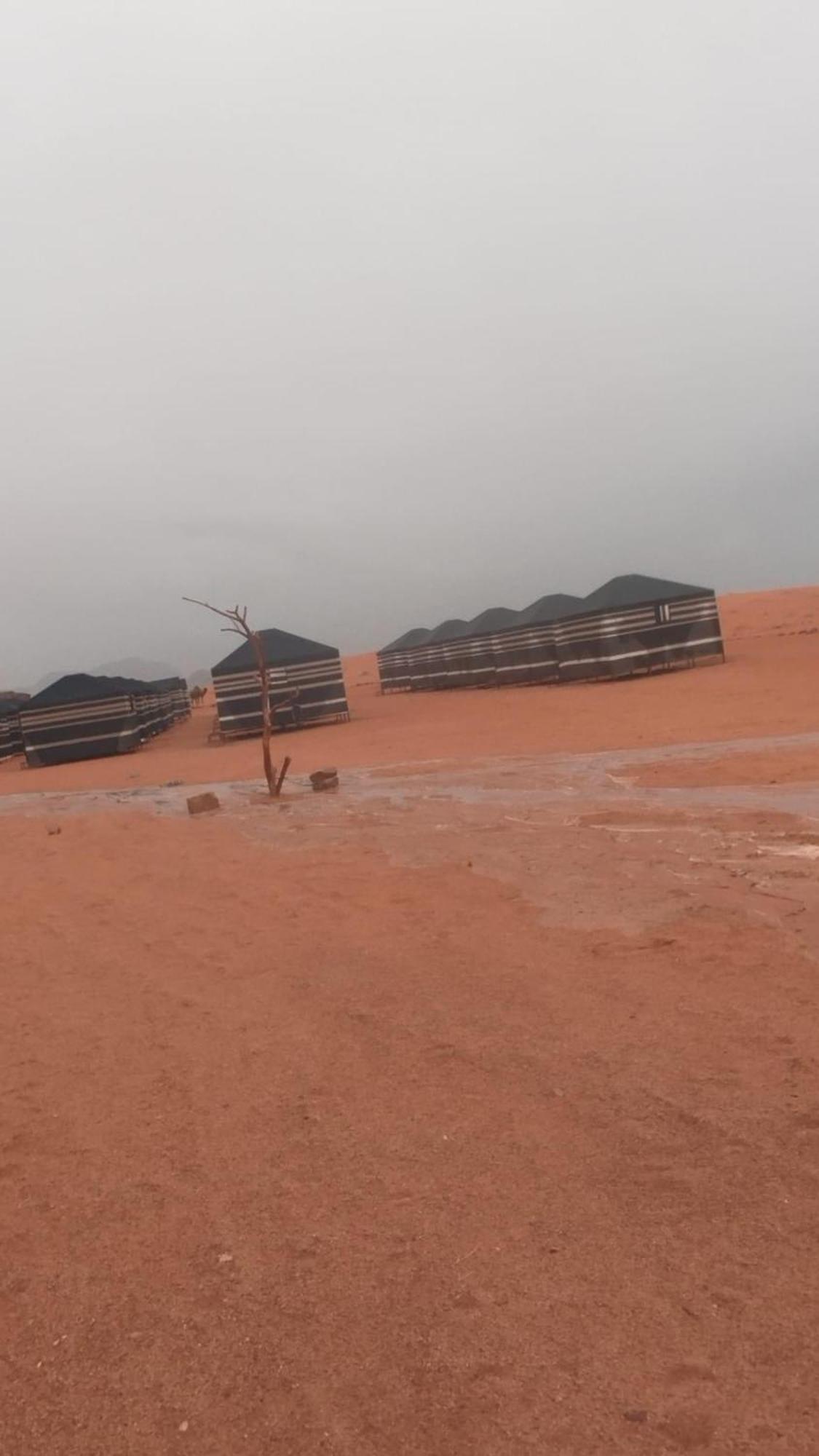 Hotel Bedouin Future Camp Wadi Rum Esterno foto